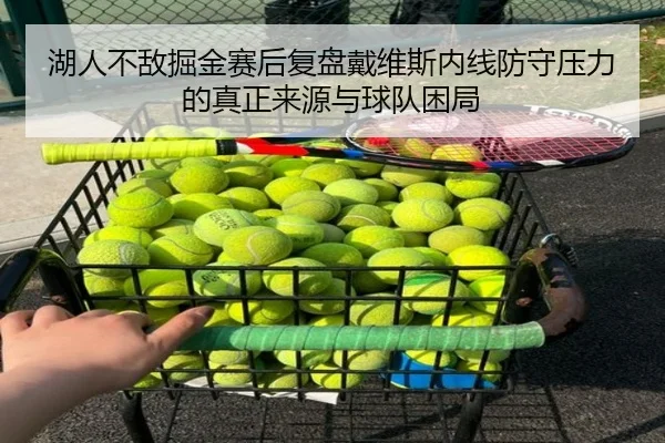 湖人不敌掘金赛后复盘戴维斯内线防守压力的真正来源与球队困局